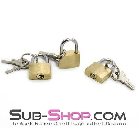 8983DL      Brass Bondage Gear Padlock