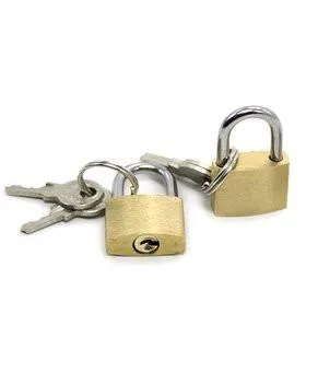 8983DL      Brass Bondage Gear Padlock